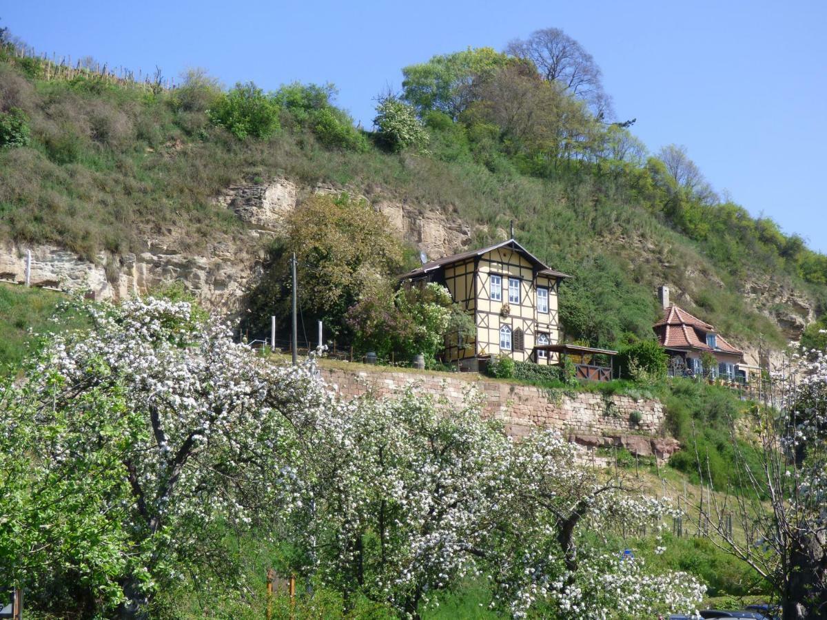 Klein Apartment Mit 2 Ferienwohnungen Naumburg (Saale) Exterior photo